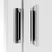 Drzwi prysznicowe przesuwne 110 Radaway Alienta DWJ 10260110-01-01 