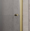 Drzwi złoto szczotkowane 80 Radaway Nes Brushed Gold DWB Lewe