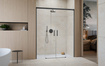 Drzwi prysznicowe szczotkowane Idea Brushed GunMetal DWD 170