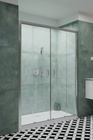 Drzwi wnękowe prysznicowe 160 Radaway Premium Plus DWD 33363-01-06N