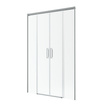Drzwi prysznicowe szczotkowane Radaway Idea Brushed Nickel DWD 160