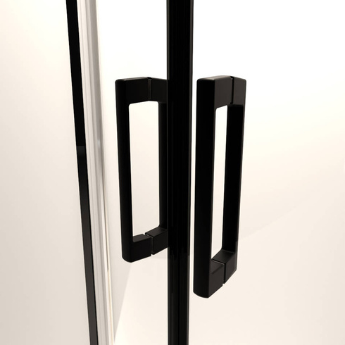 Kabina prysznicowa czarna 100x80 Radaway Premium Pro Black KDD