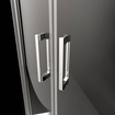 Drzwi prysznicowe 160 Radaway Premium Pro DWJ 1014160-01-01R