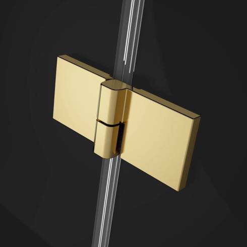 Drzwi prysznicowe 100 złote połysk Radaway Essenza Pro Gold DWJ lewa