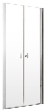 Drzwi prysznicowe dwudrzwiowe Radaway Nes DWD I 120 10027120-01-01