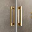 Drzwi prysznicowe złote 100 Radaway Idea Gold DWJ 387014-09-01L lewe